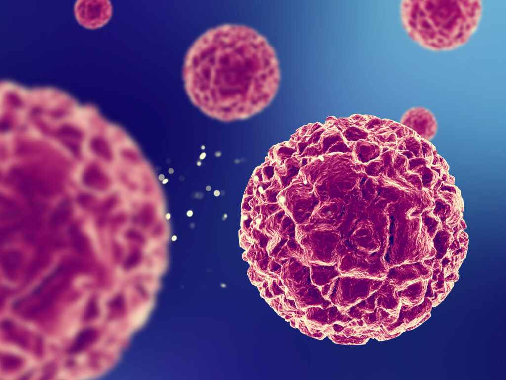 O que é o HPV (Papilomavírus Humano) O que é o HPV (Papilomavírus Humano)